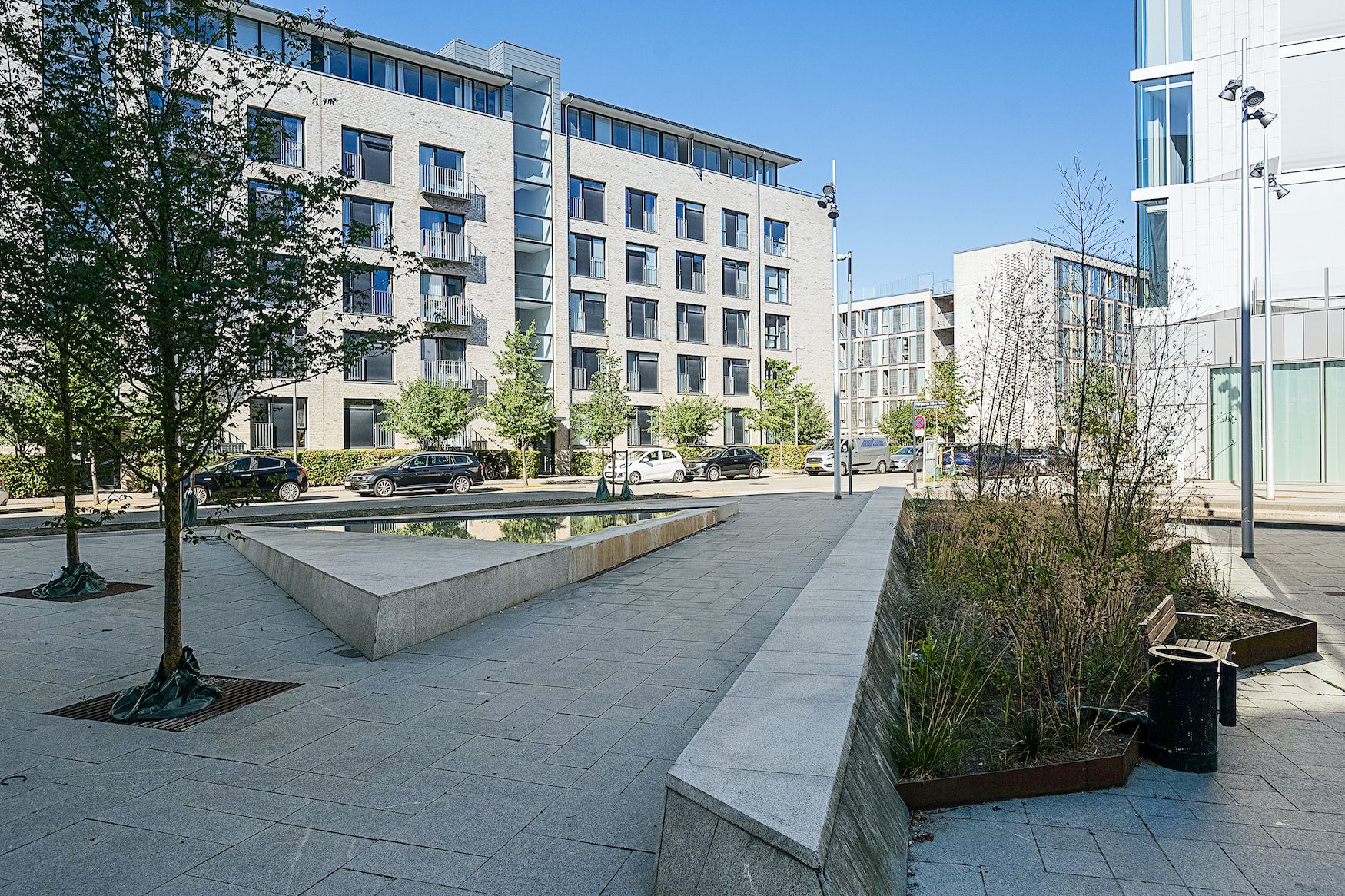 En park med træer og planter langs en gågade, hvor der er flere høje bygninger i baggrunden og biler parkeret foran