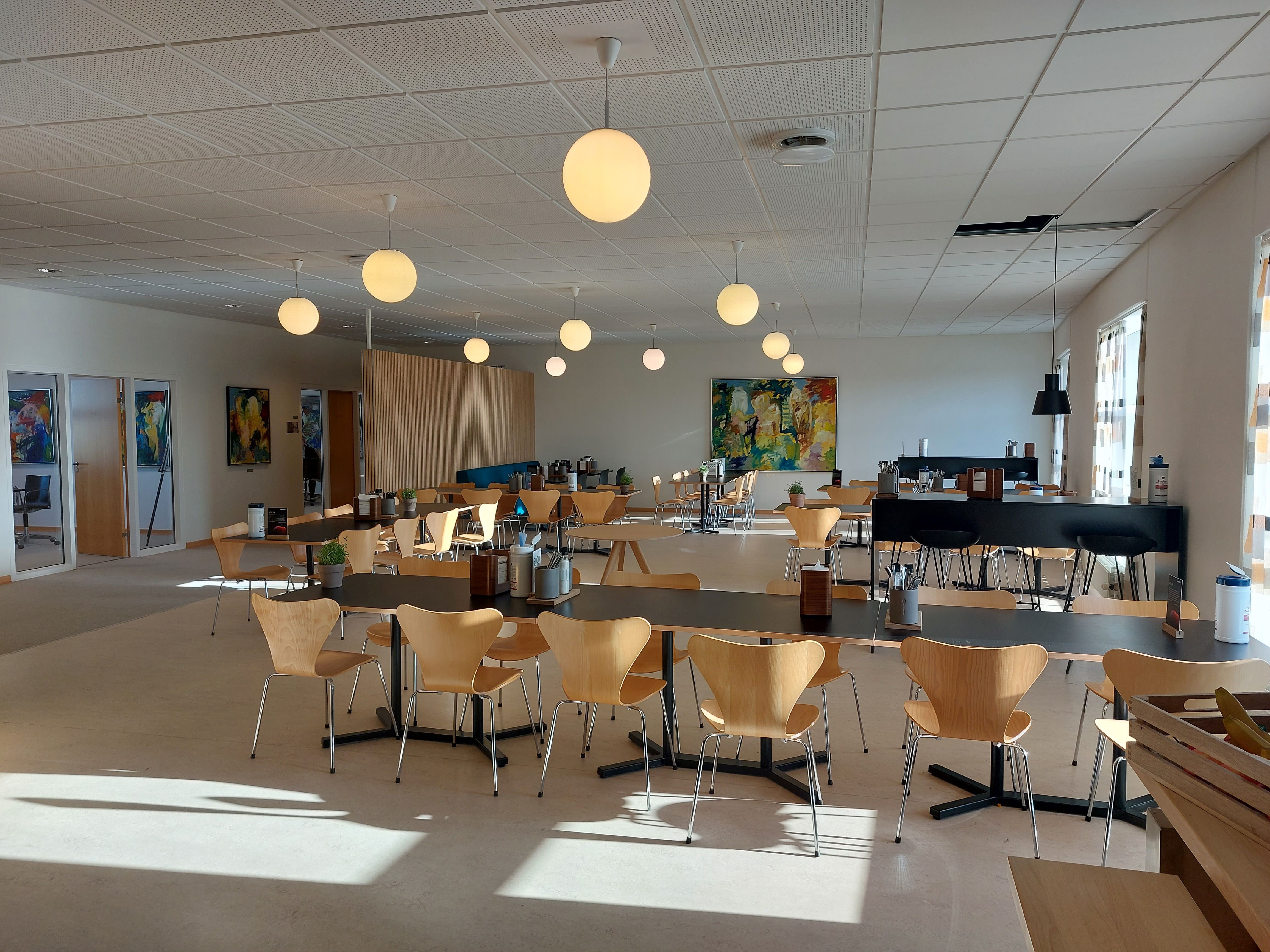 En stor lyselokal med moderne møbler, høje lofter, og lyse gulvvedligeholdelse, med lyse runde loftslampe, en stor mængde