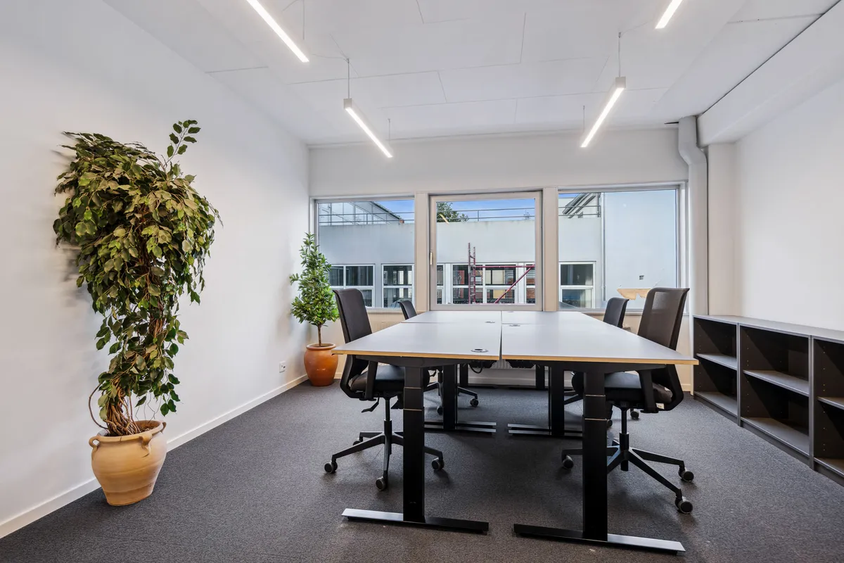Kontorlokaler med to store borde og fire stole samt to store planter og to lysekroner på loftet