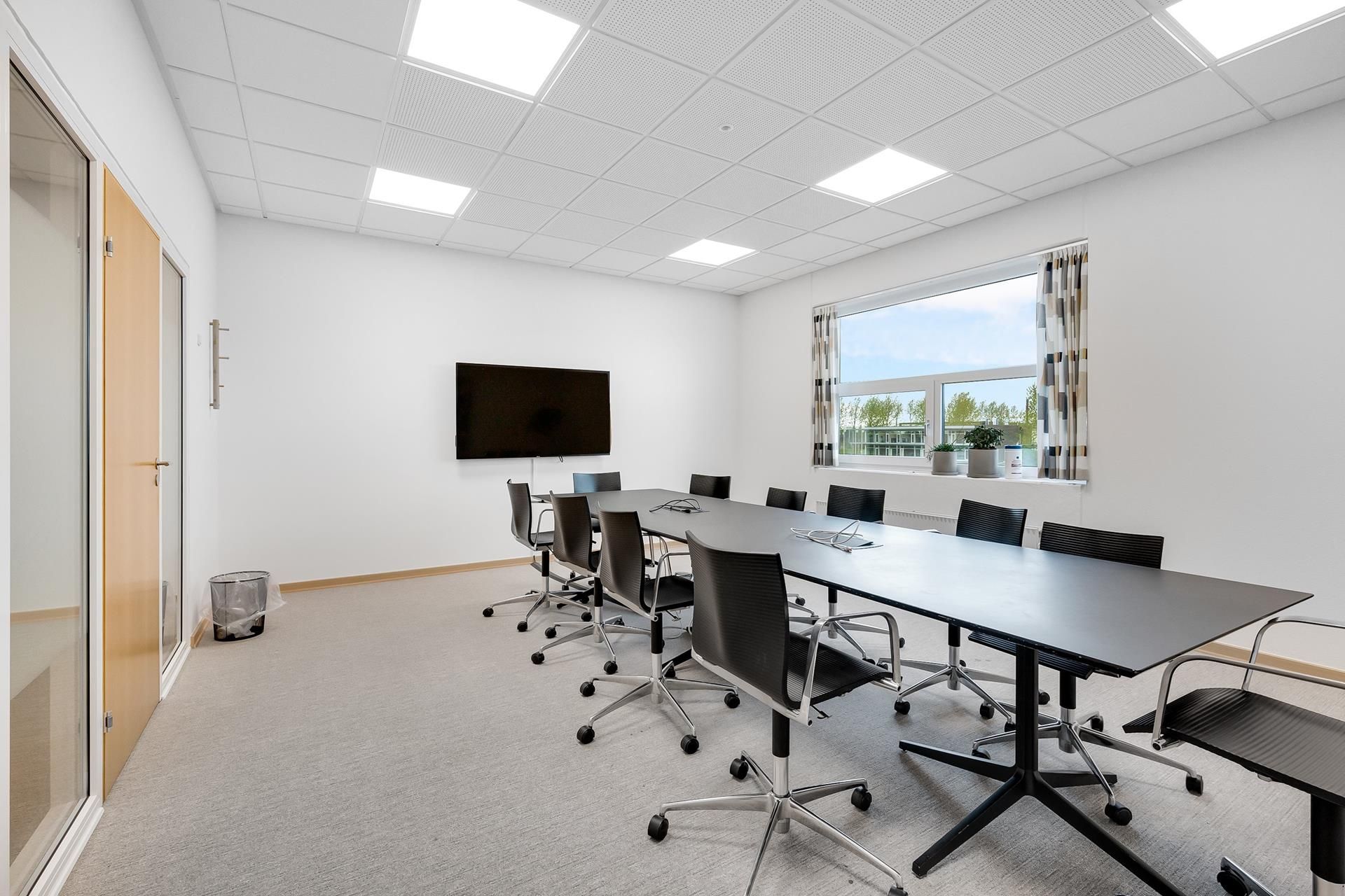 Kontor med en lang bord, flere stole, en tv-skærm og et vindue med en udsigt til planter og træer