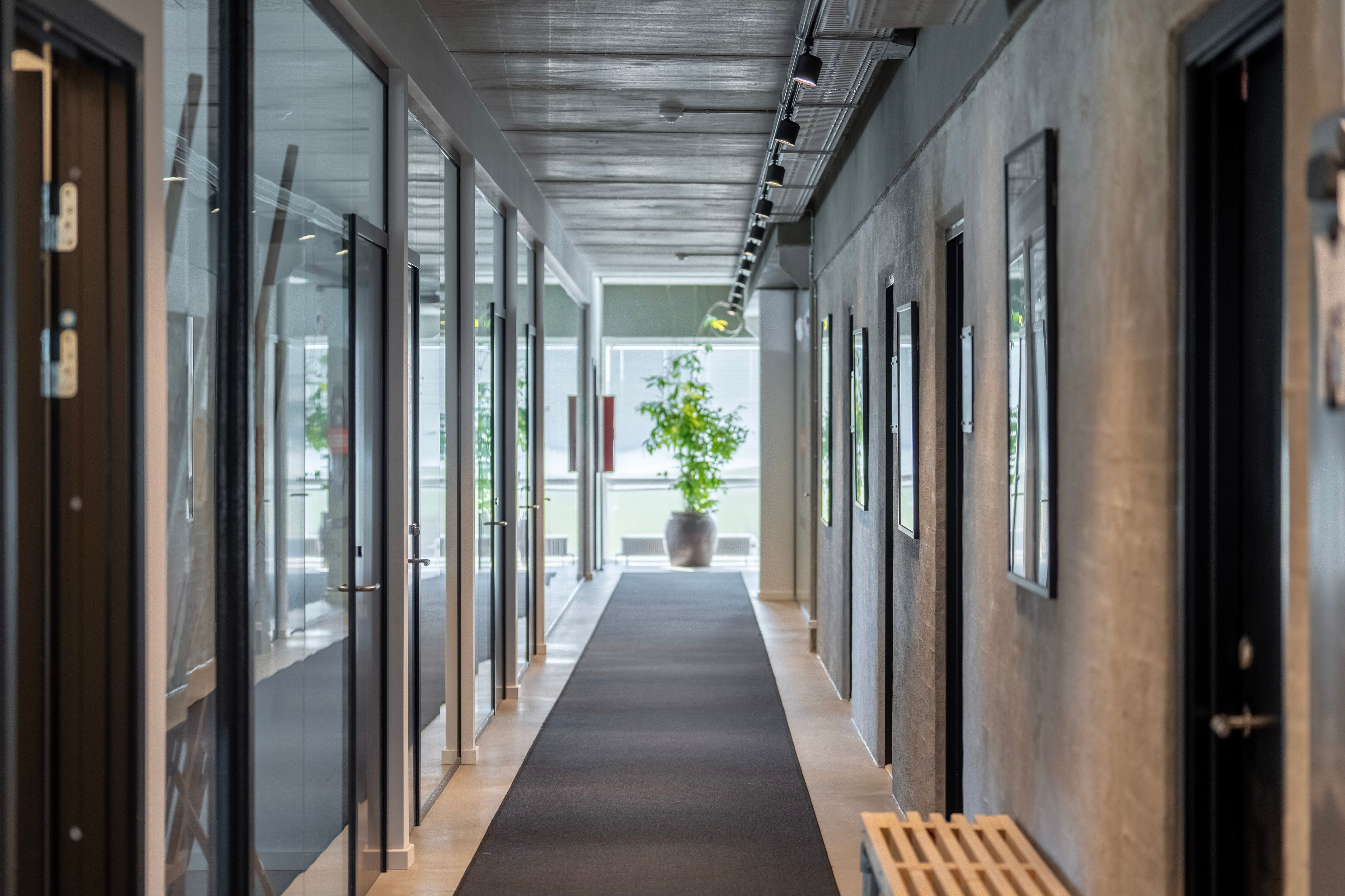 Glasvinduer og døre langs en hall med en plante og skovl og lysekroner hængende fra loftet