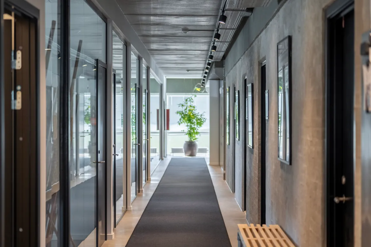 Glasvinduer og døre langs en hall med en plante og skovl og lysekroner hængende fra loftet