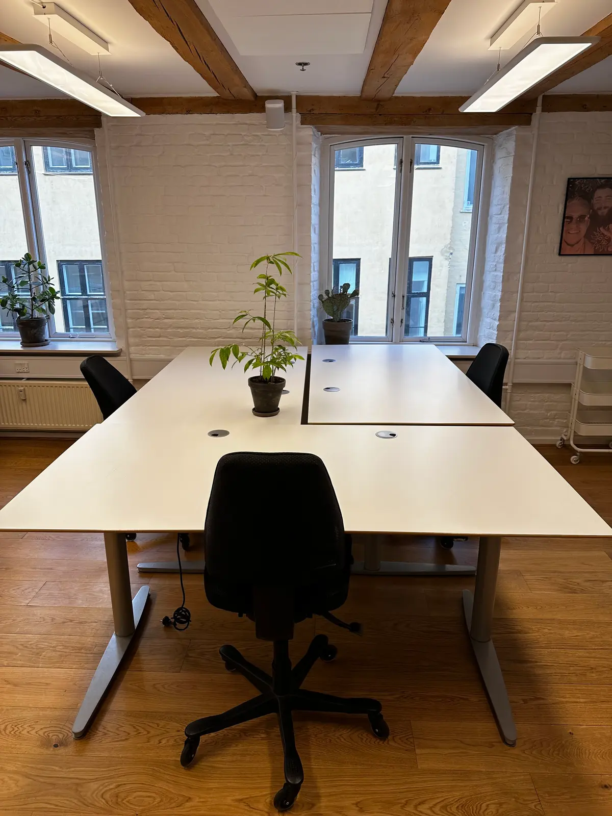 Kontorrum med to lange borde, hver med en plante og flere stole, hvor gulvet er lavet af træ og væggene er hvide