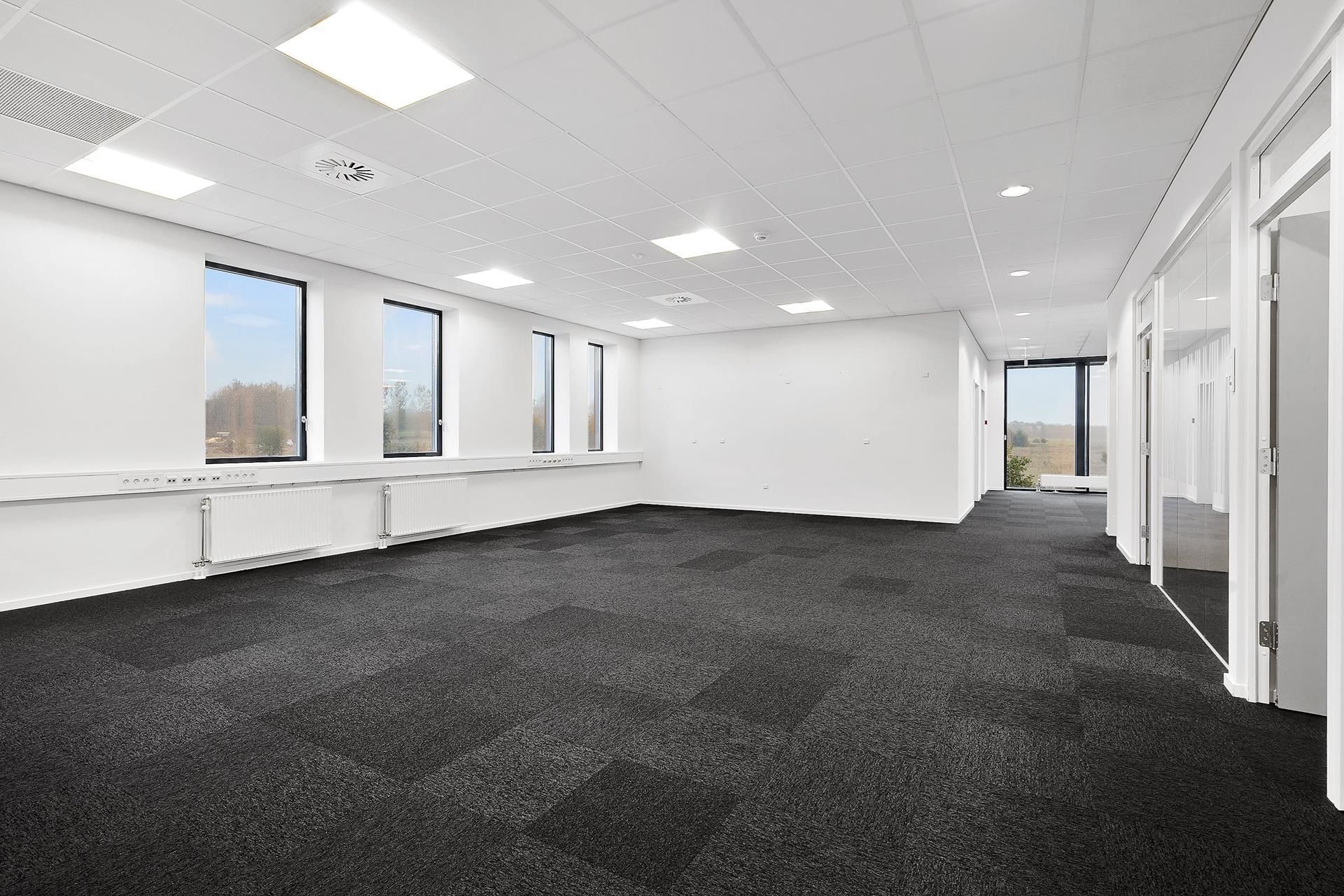 Kontor med hvide vægge og hvidt loft, mørkt gulvtæppe og vinduer med udsigt til skov og landskab