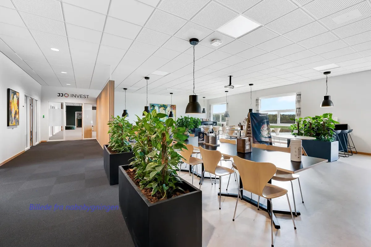 Et moderne kontor med højt loft, lyse lamper, store plantecontainere og to lange borde med stole