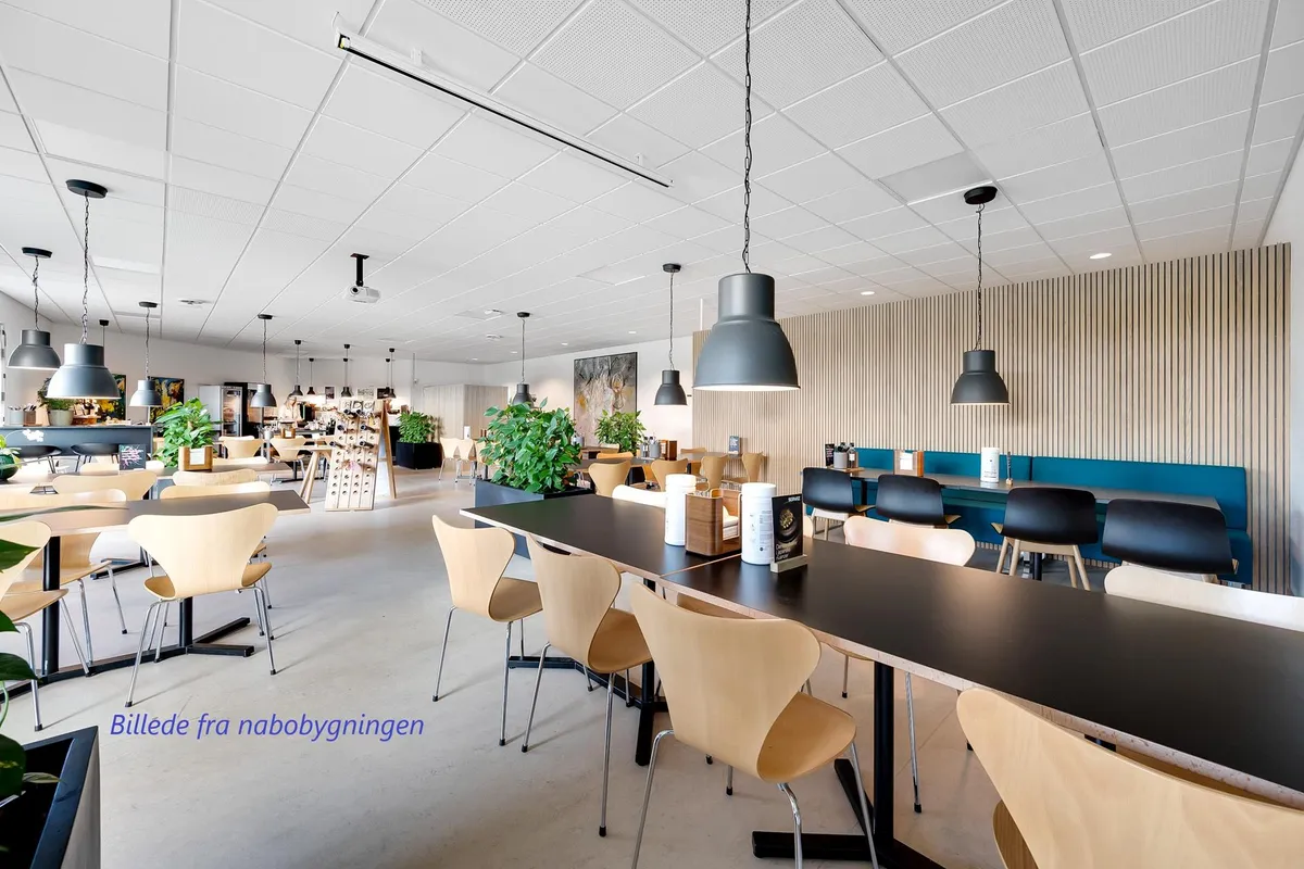 Moderne kontor med åbent design, højloft, lysepunkter, bord, stole og planter langs væggen