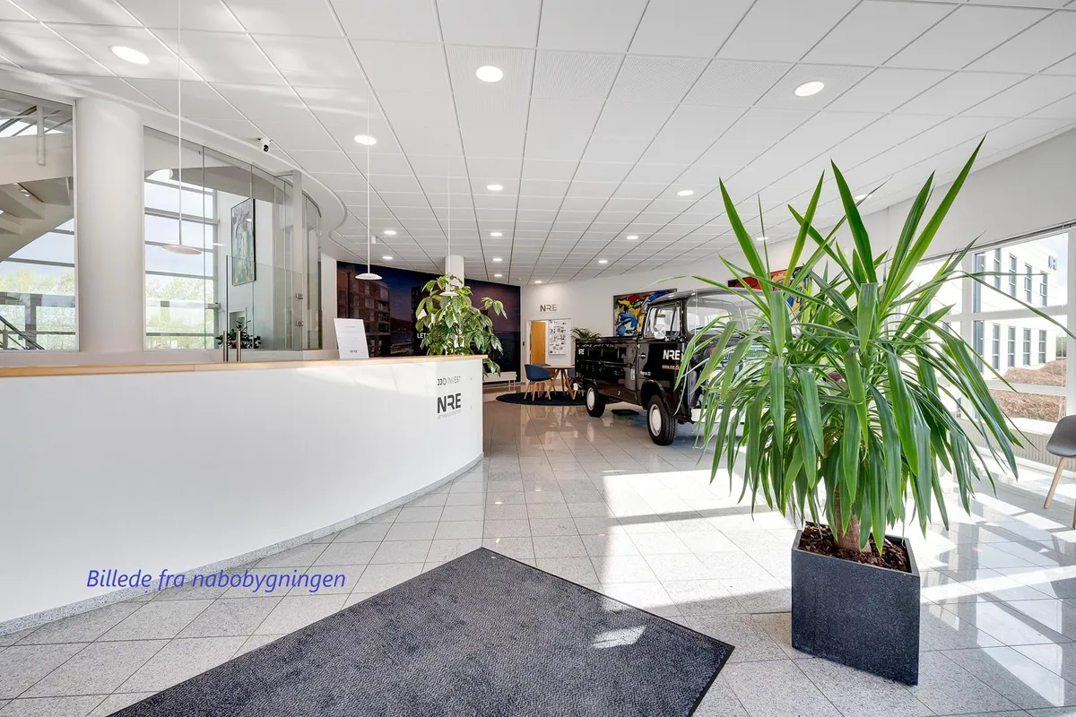 Modernt kontor med hvide vægge og loft, en stor plante og et gammelt køretøj parkeret indvendigs