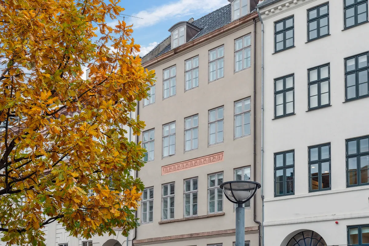 Københavns Byret med flotte huse og gul bladkrone på en slank træ. Stærke vinduer, lyse fasaderne og en gågade med slanke