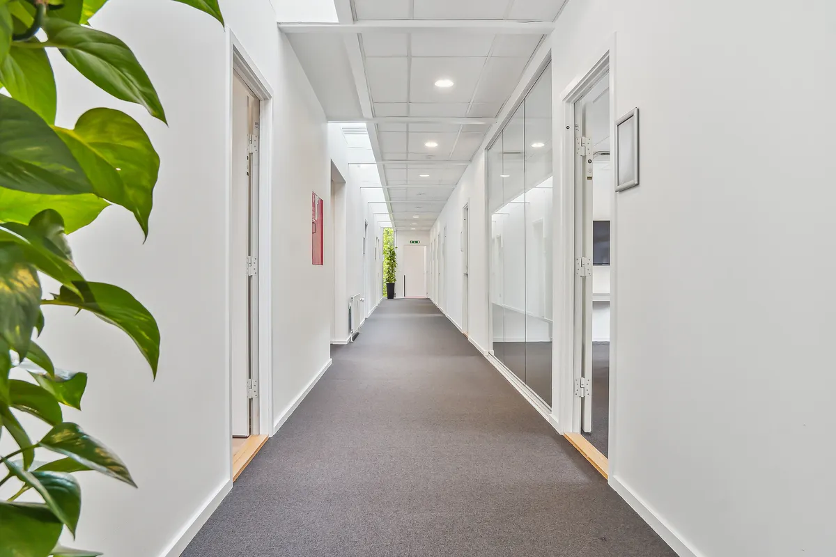 En lang og smal korridor med hvide vægge, glasdøre og lysekroner. Væggen er lysegrå og der er et stort grønt planteblad på