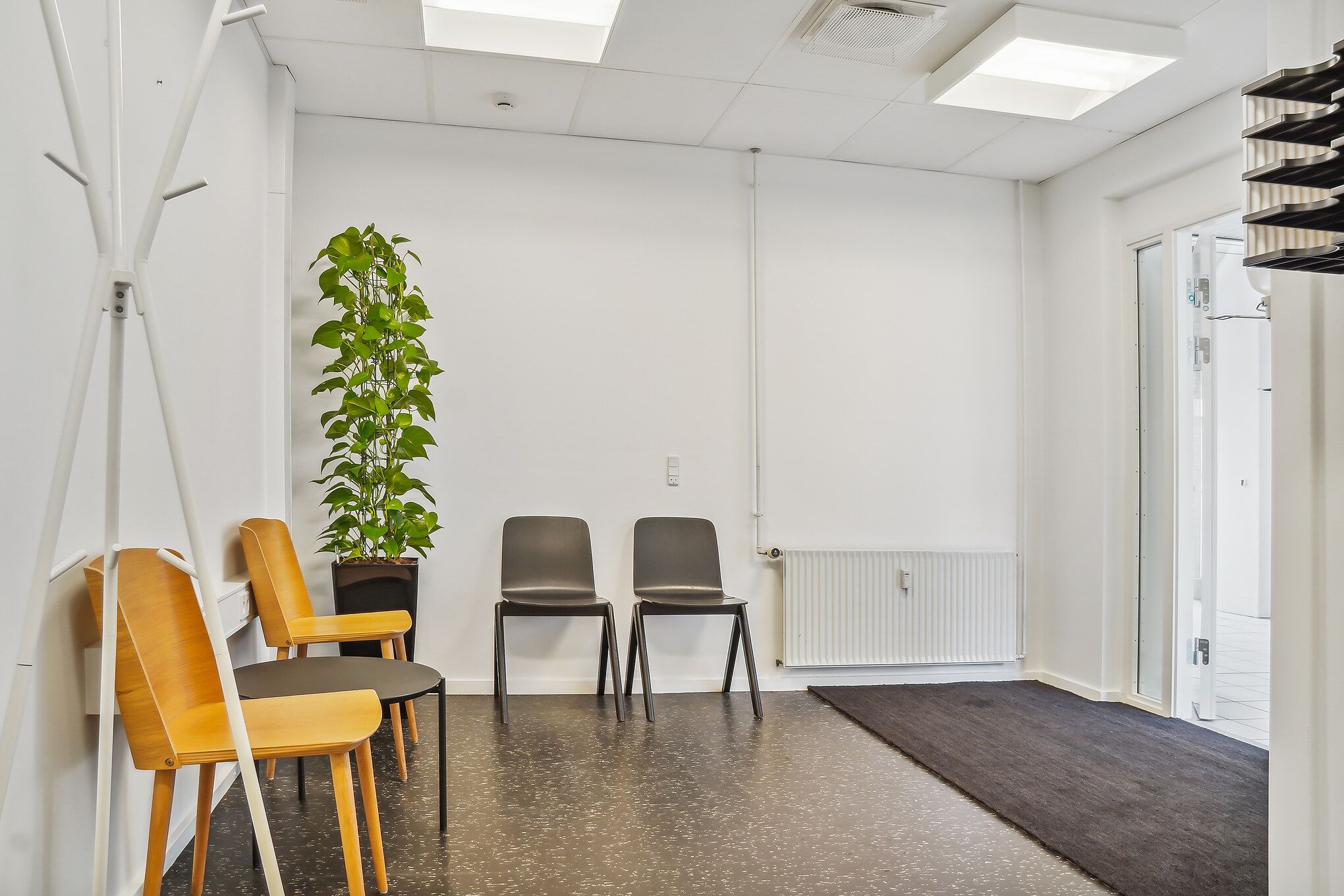 En ren, lyse, moderne og luftig værelse med tre stole og en plante i en større potte.