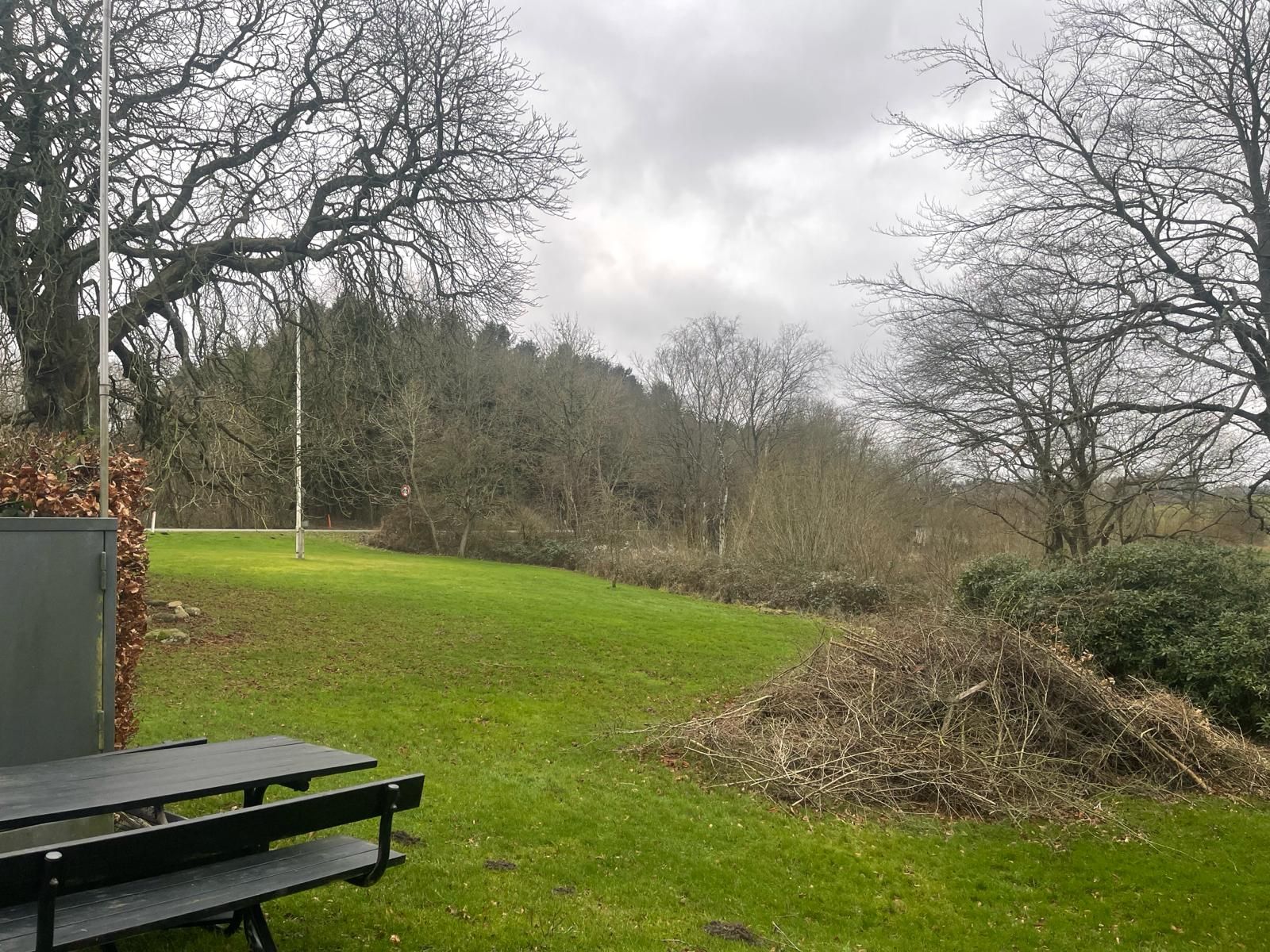 En grøn park med en træstamme og to bænke står i sne, omgivet af skov og buske