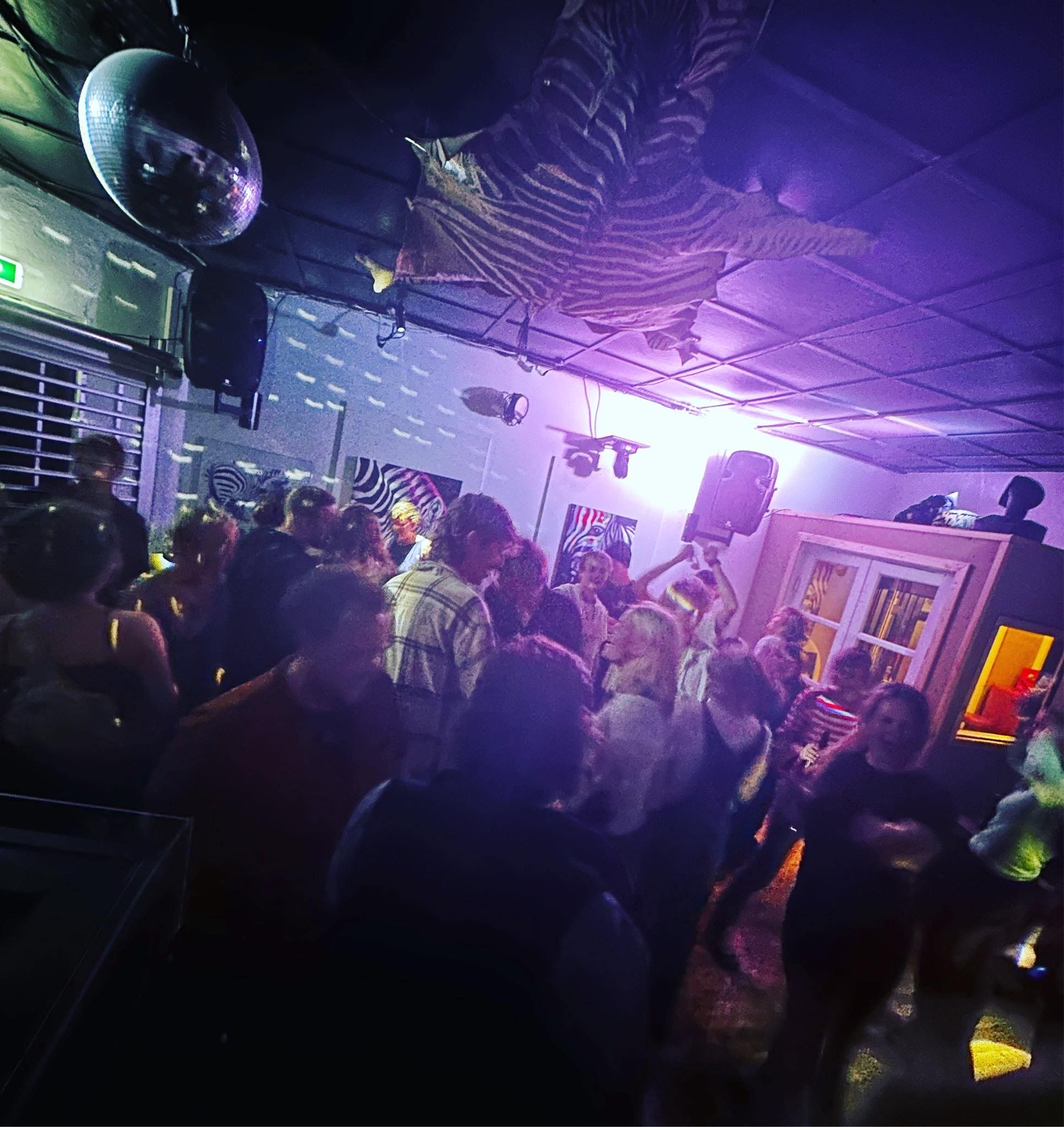 Mange mennesker danser i Zebra Bar med stærkt farvet lys og en stor diskobold hængende på loftet