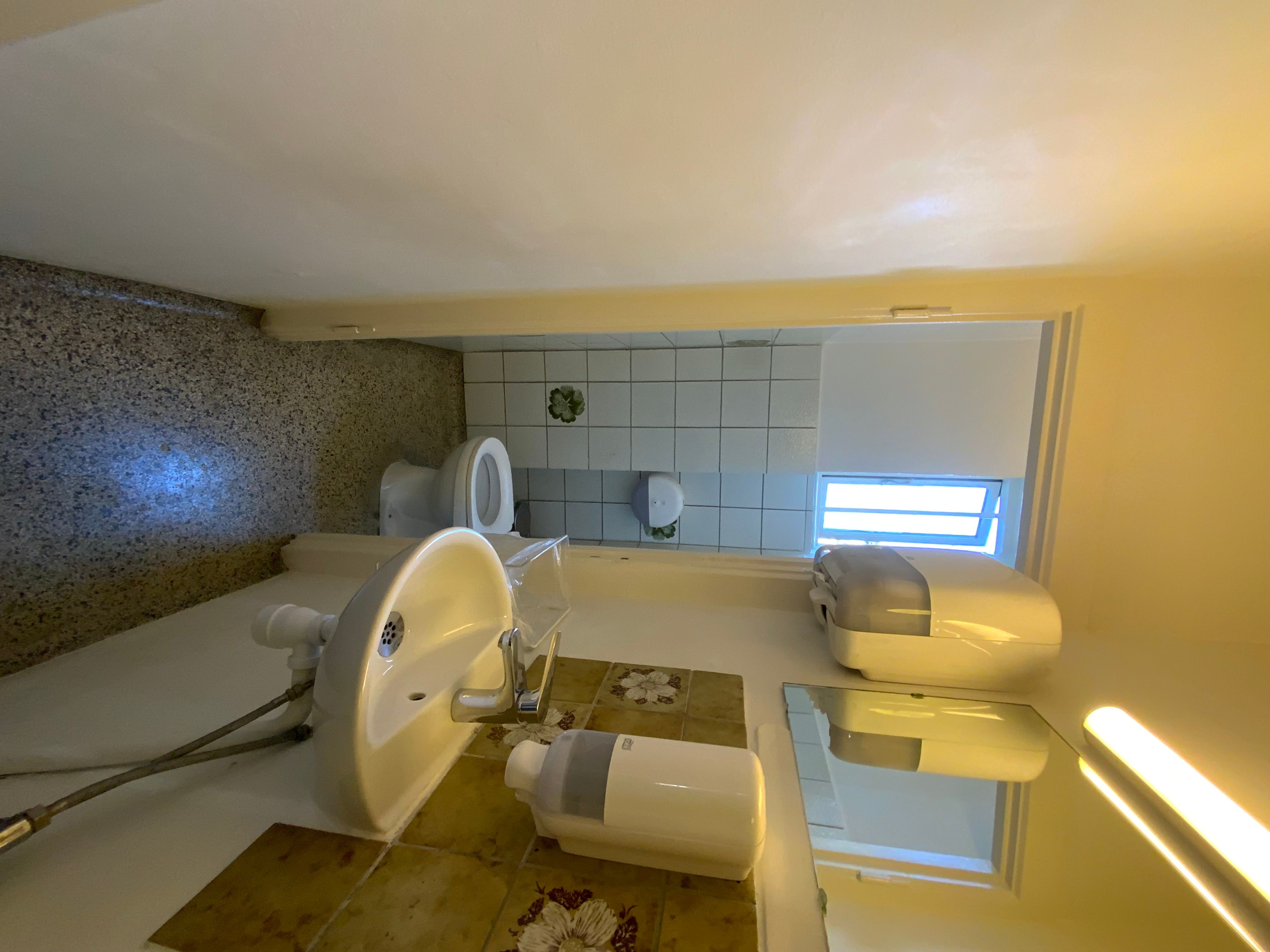 Alt-tekst: Badeværelse med toilet, håndvask, håndsæbe og vinduesruder i hvidt og lysegråt