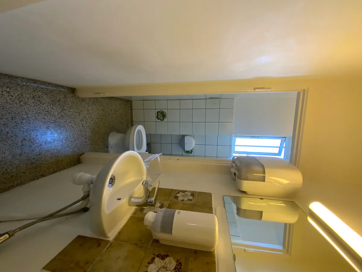 Alt-tekst: Badeværelse med toilet, håndvask, håndsæbe og vinduesruder i hvidt og lysegråt