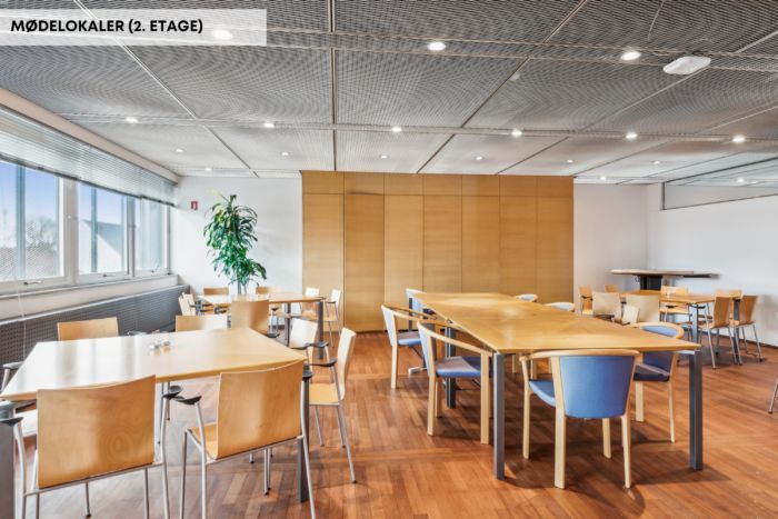 Lejlighed til leje i et centralt beliggende lejemål i Hjørring med lyse møbler og en stor plante i vinduet