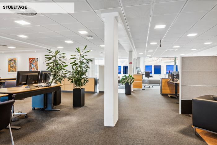 Et moderne og funktionelt kontor med lyse lofter og computerborde med skærme og kontormøbler samt høje plantager i lyse,