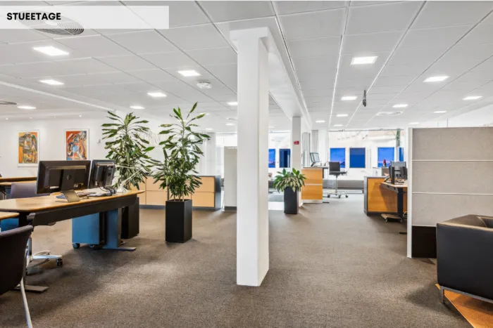 Et moderne og funktionelt kontor med lyse lofter og computerborde med skærme og kontormøbler samt høje plantager i lyse,