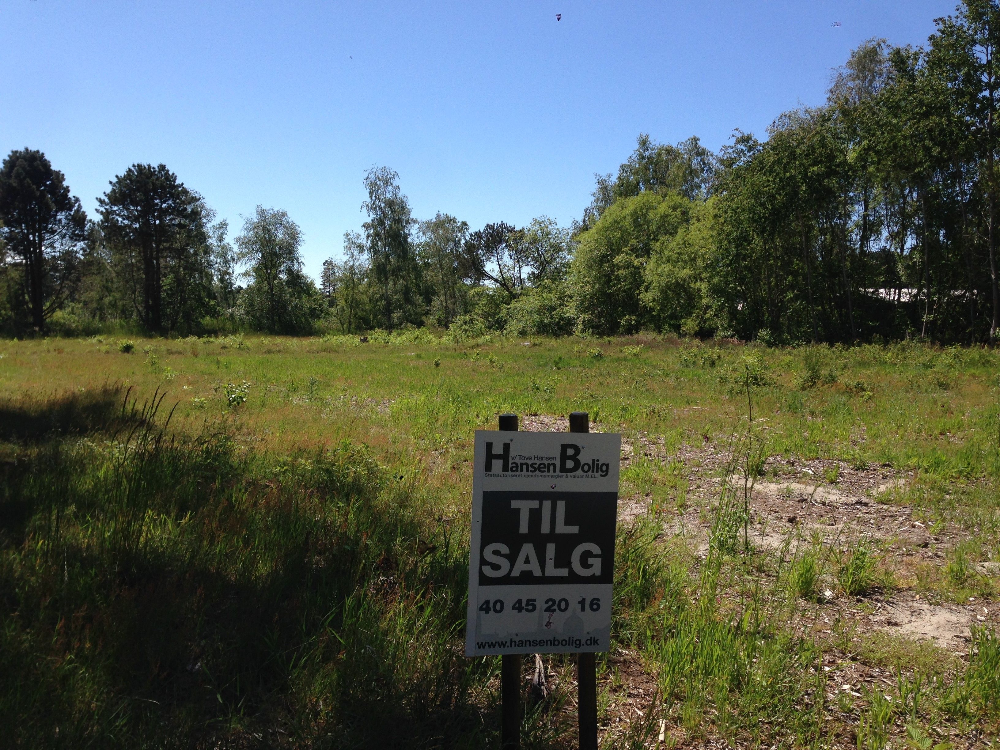 Grøn markeret grund med skov i baggrunden og et hus tegn for til salg på en mark
