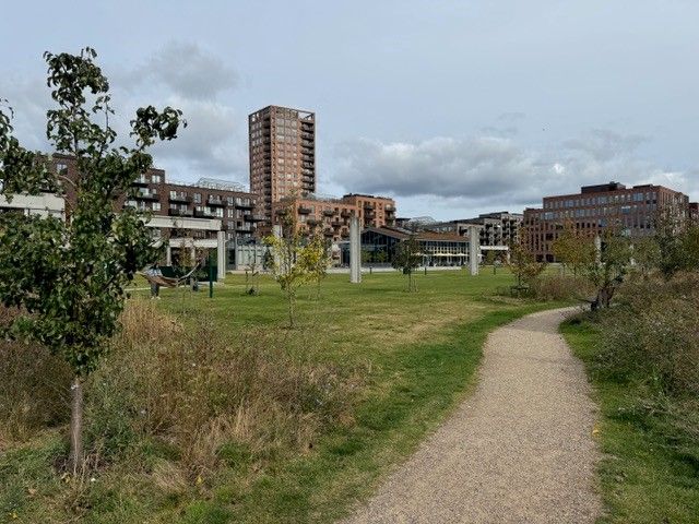 En grøn park med sti, træer og buske samt bygninger i baggrunden