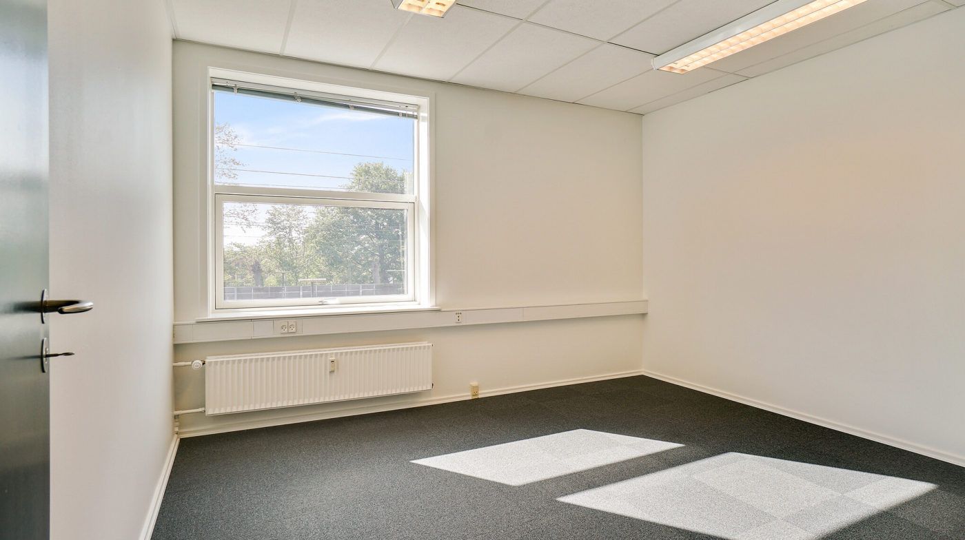 En tom stue med en dør og to vinduer med udsigt til en park. Stuen er mørk og har et hvidt loft, hvor der er to lysekroner