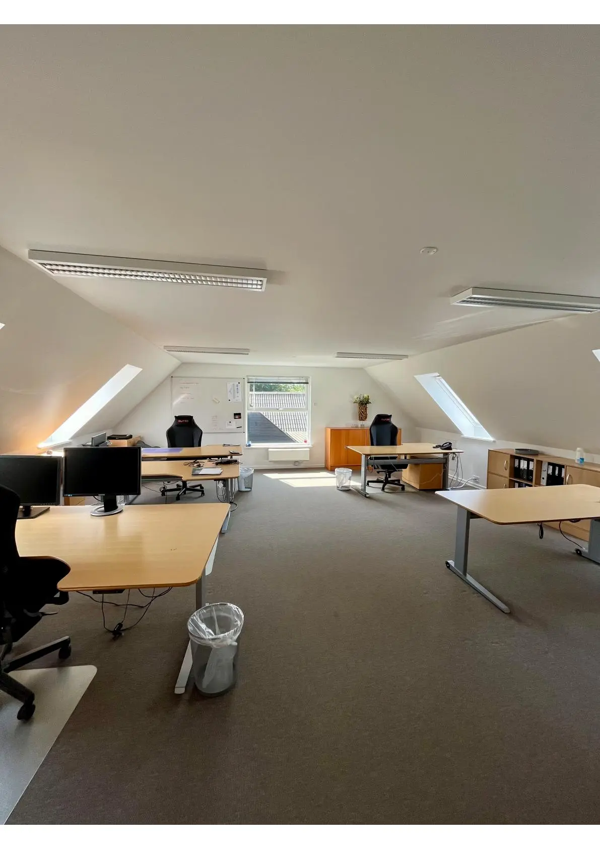 Et kontorlokale med to skriveborde, computere, stol, skraldespand, skraldepose, kabinet og plante på skrivebordet. Loftet er