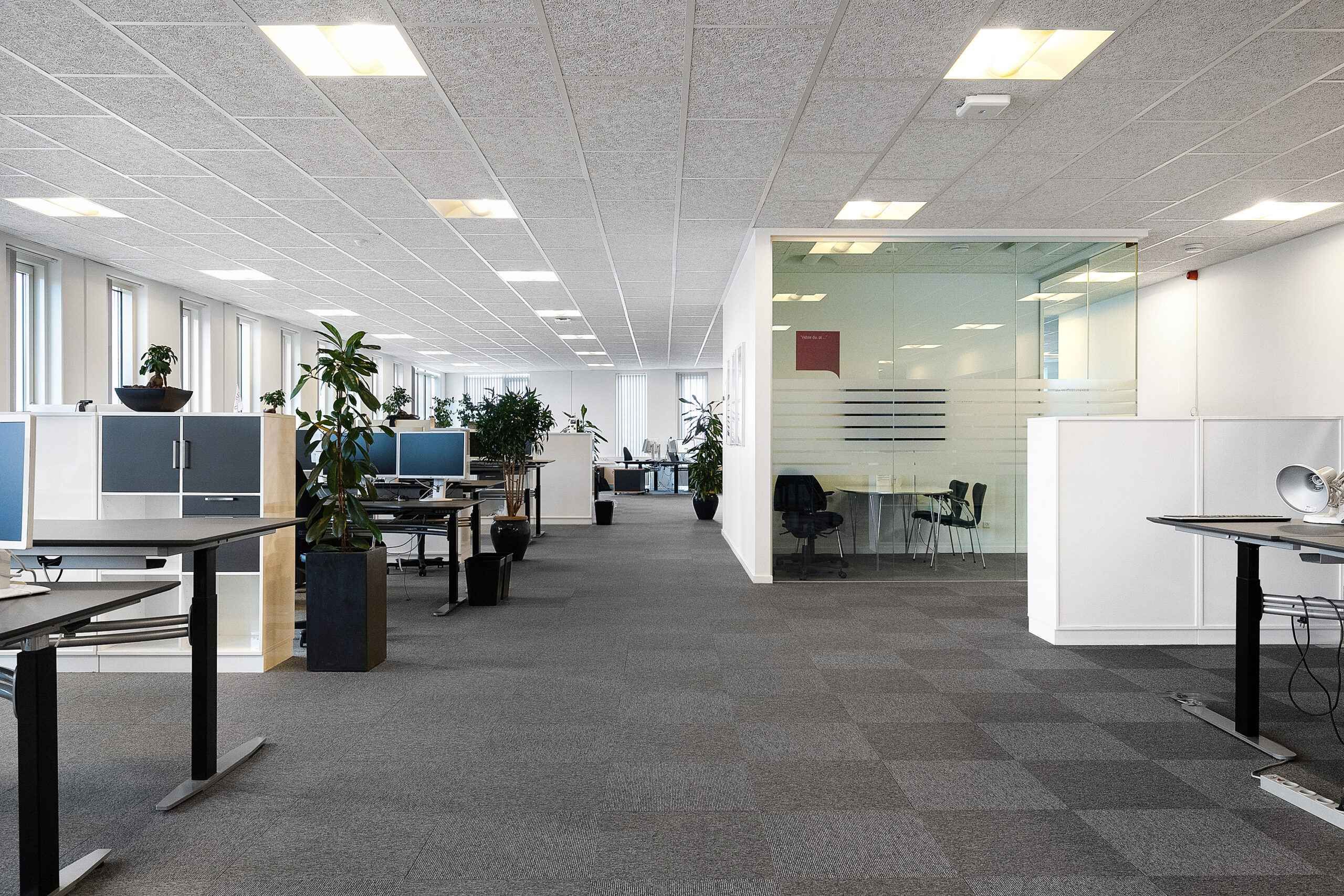 Moderne kontor med høje lofter og lyse gulve. Rundt om er der store skriveborde og stole. Der er også glasvægge og grønne