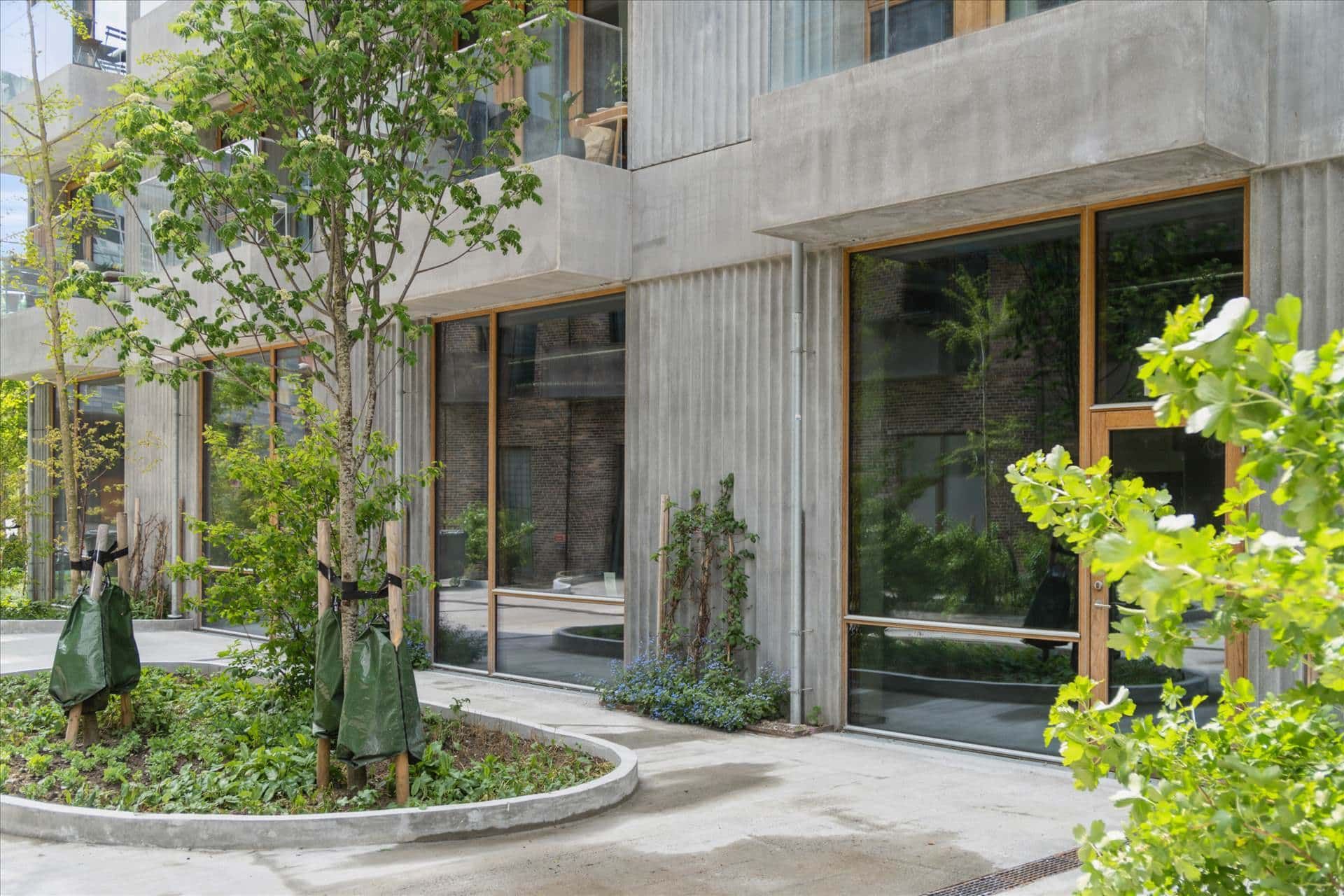 Moderne bygning med glasvinduer, træer og urtehave med hængende plastikposer. Bygningen har en betonfacade og står i