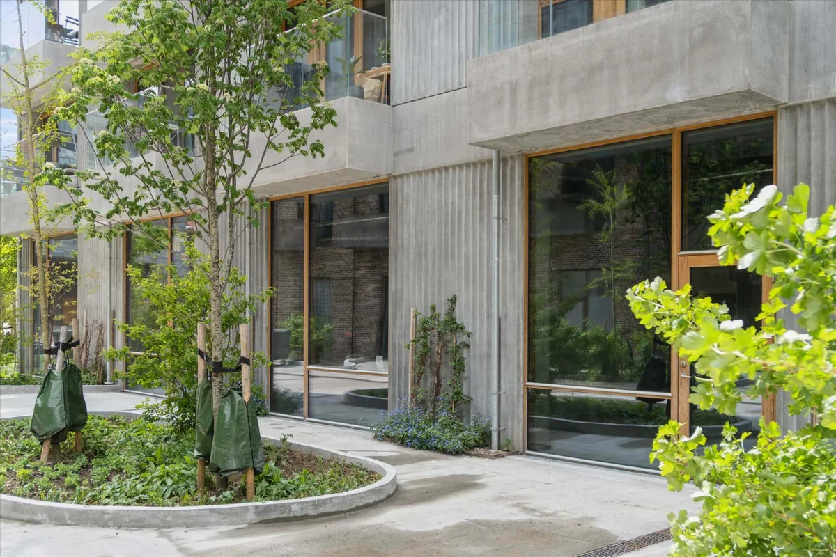 Moderne bygning med glasvinduer, træer og urtehave med hængende plastikposer. Bygningen har en betonfacade og står i