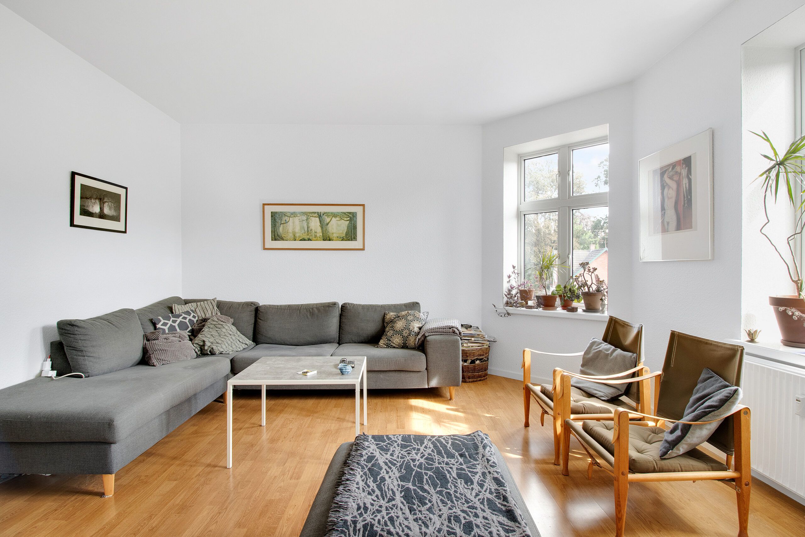 Lyst og moderne stue med trægulv og højloft, hvor sofaen og stolerne er dækket med puder, og der er plantepoteter på