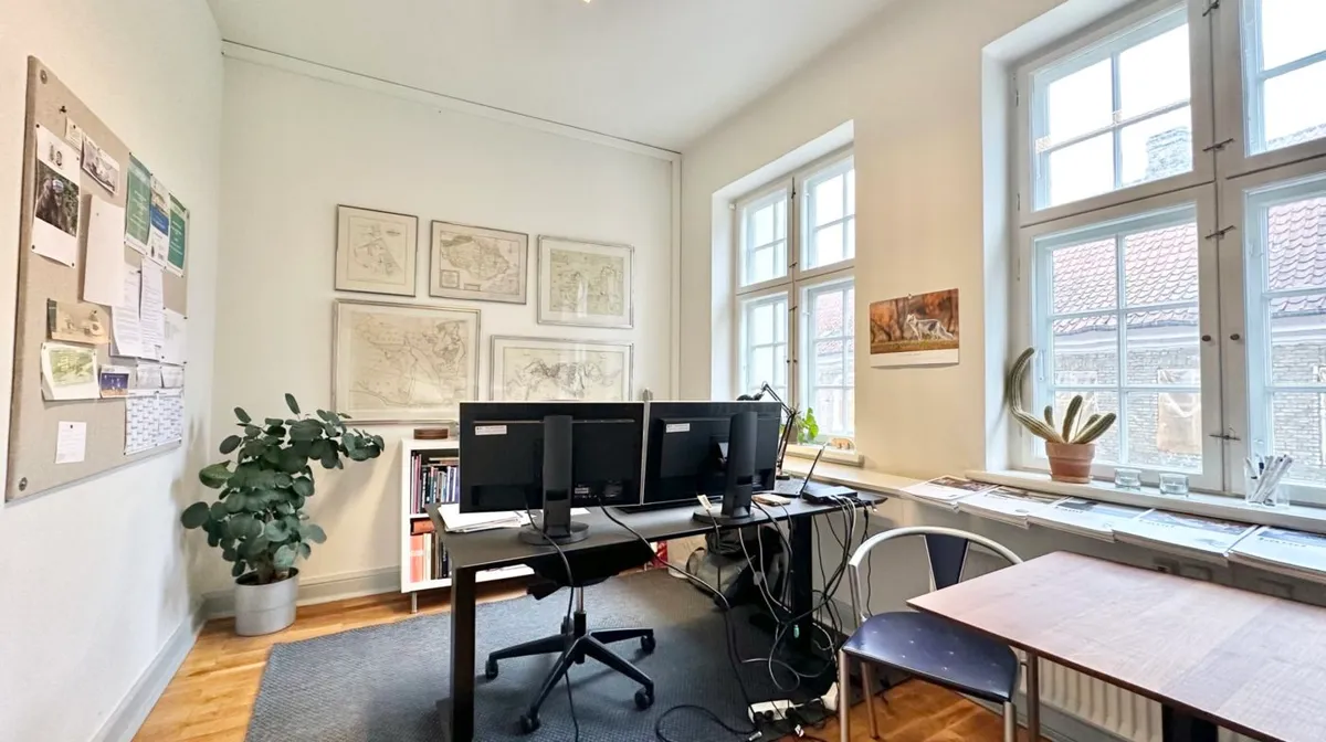 Kontor med to skriveborde, hvor det ene er udstyret med to skærme, en plante og en bøjlehylde med bøger