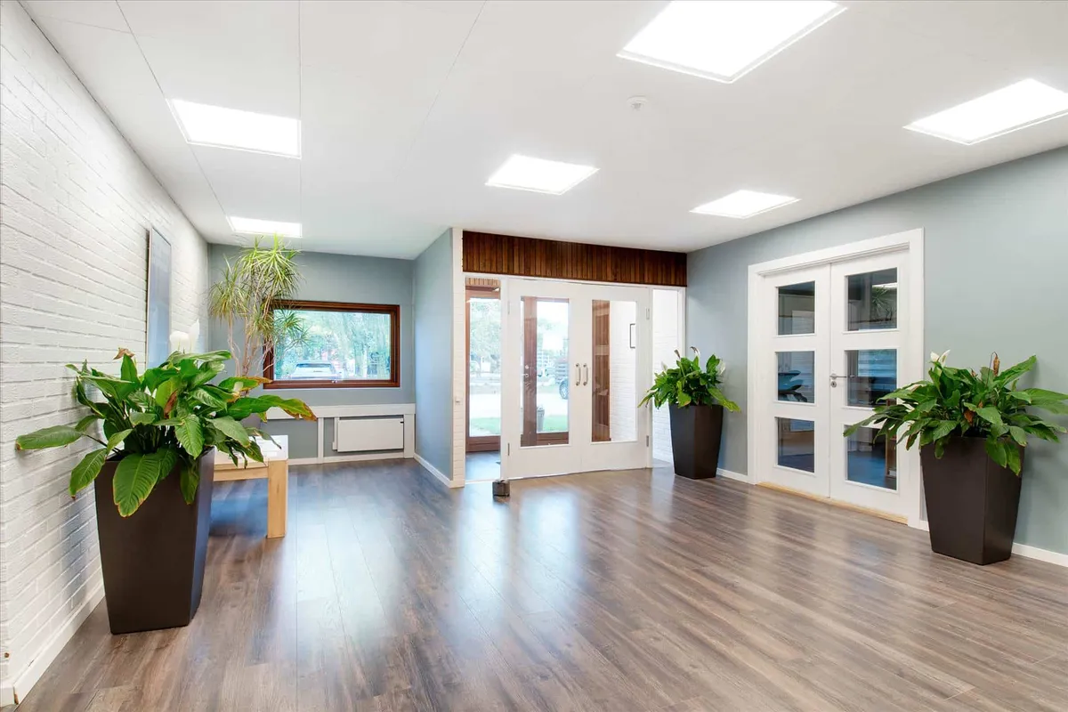En møbleret kontorhal med hvide vægge, lyse loftslamper, lysegrå vægbeklædning, tre store planter og to store glasdøre med