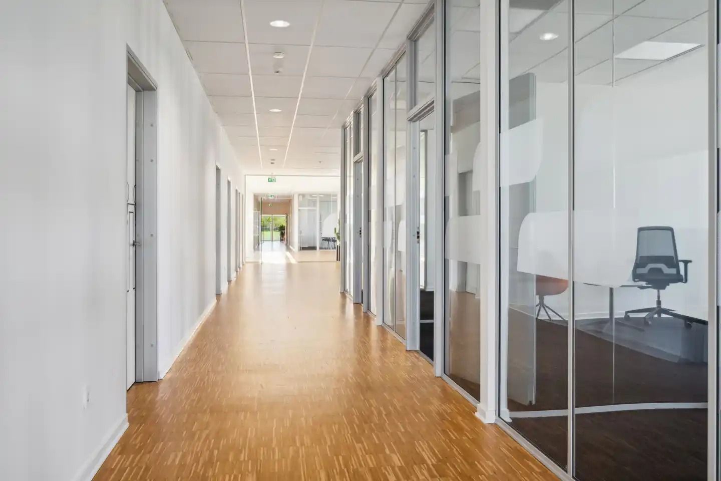 Moderne kontorbygning med hvide vægge og glasdøre, lyse pletter og lysekroner, gulve med træbelægning og en tom gang med to