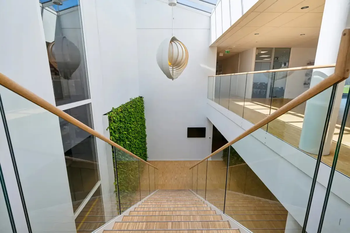 Glas trappe med trætrin og metalgesims. Moderne indretning med grønne planter og loftsvinduer. Forretningslokaler med