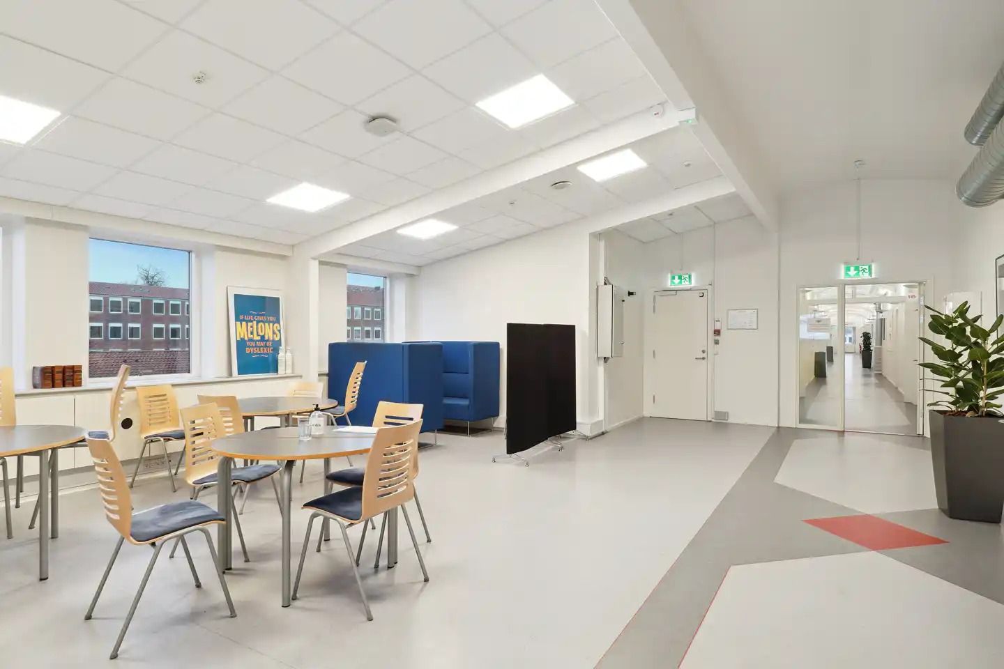 En tom mødelokale med runde borde og stole og en stor plante i en stor vase