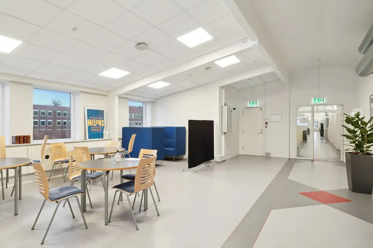 En tom mødelokale med runde borde og stole og en stor plante i en stor vase