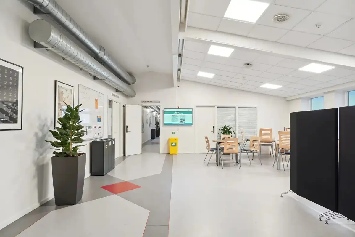 Lys og moderne kontor med borde og stole. Væggene er hvide og der er en stor plante og et tv-skærm i rummet.