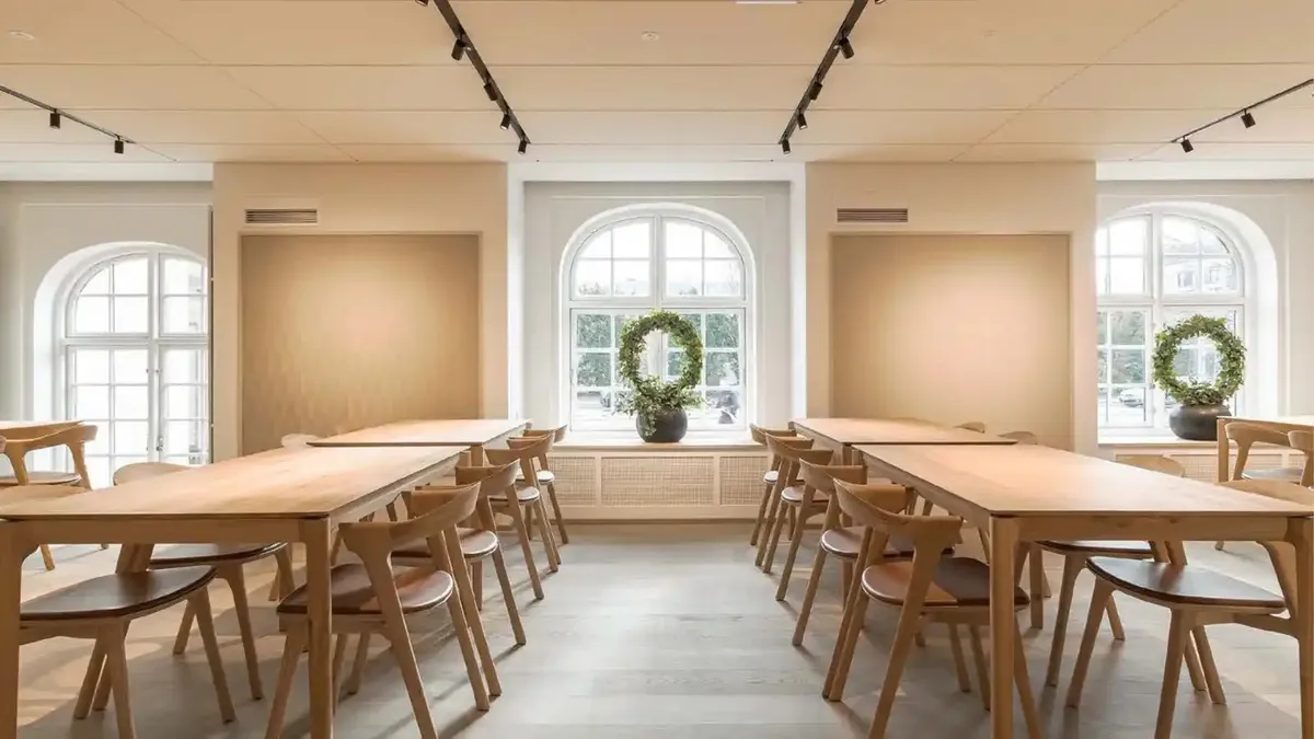 Kontorlokaler med lyse træborde, stole og lyse vinduer med planter i potte