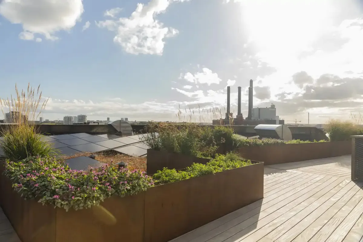 Kortlægning af have på terrasse med mange planter og blomster i solskin samt udsigt til bygninger og røg fra skorstene