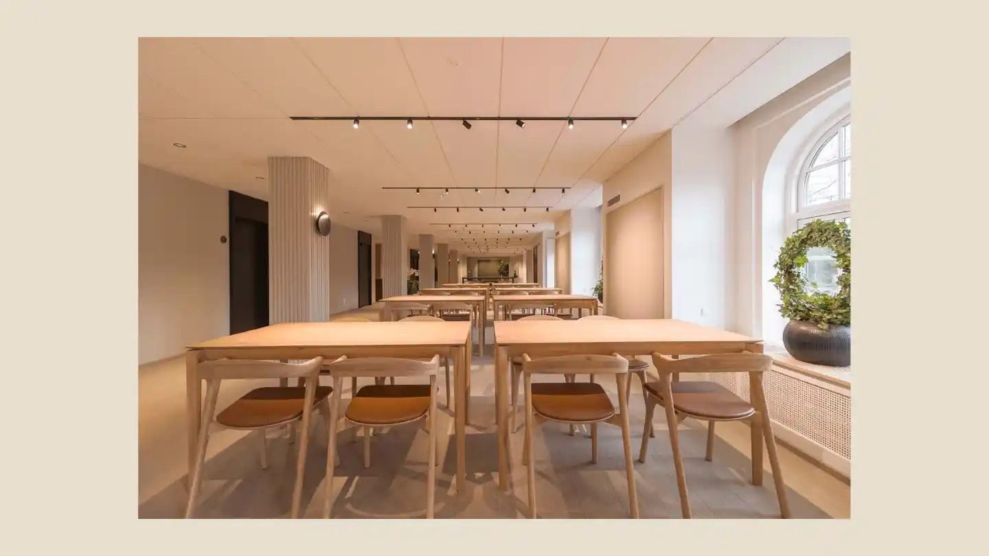 Kontorlokaler med lyse vægge og træborde og stole samt et plantearrangement i vinduet