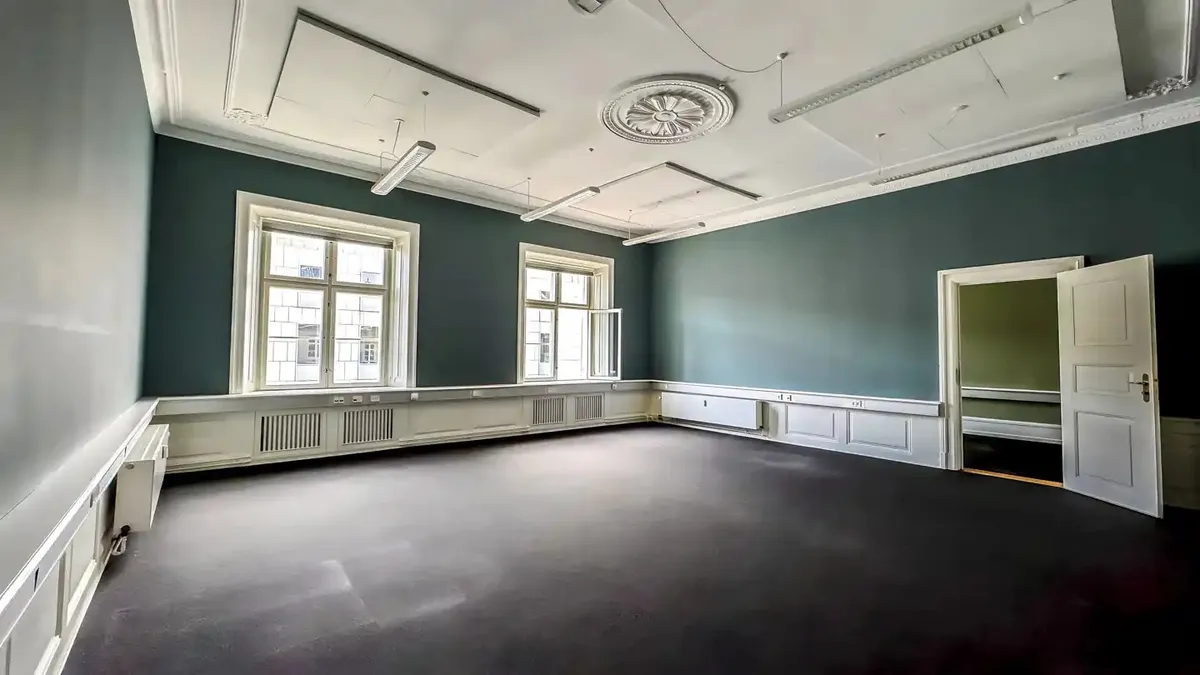 Et rum med to vinduer og en åben dør med lyse og lysegrå vægge og sort gulv samt to hængende lys