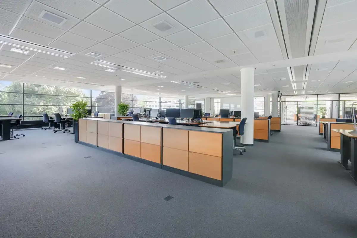 Kontorområde med store vinduer, lyse lofter, trægulve, moderne møbler og planter i bakker.