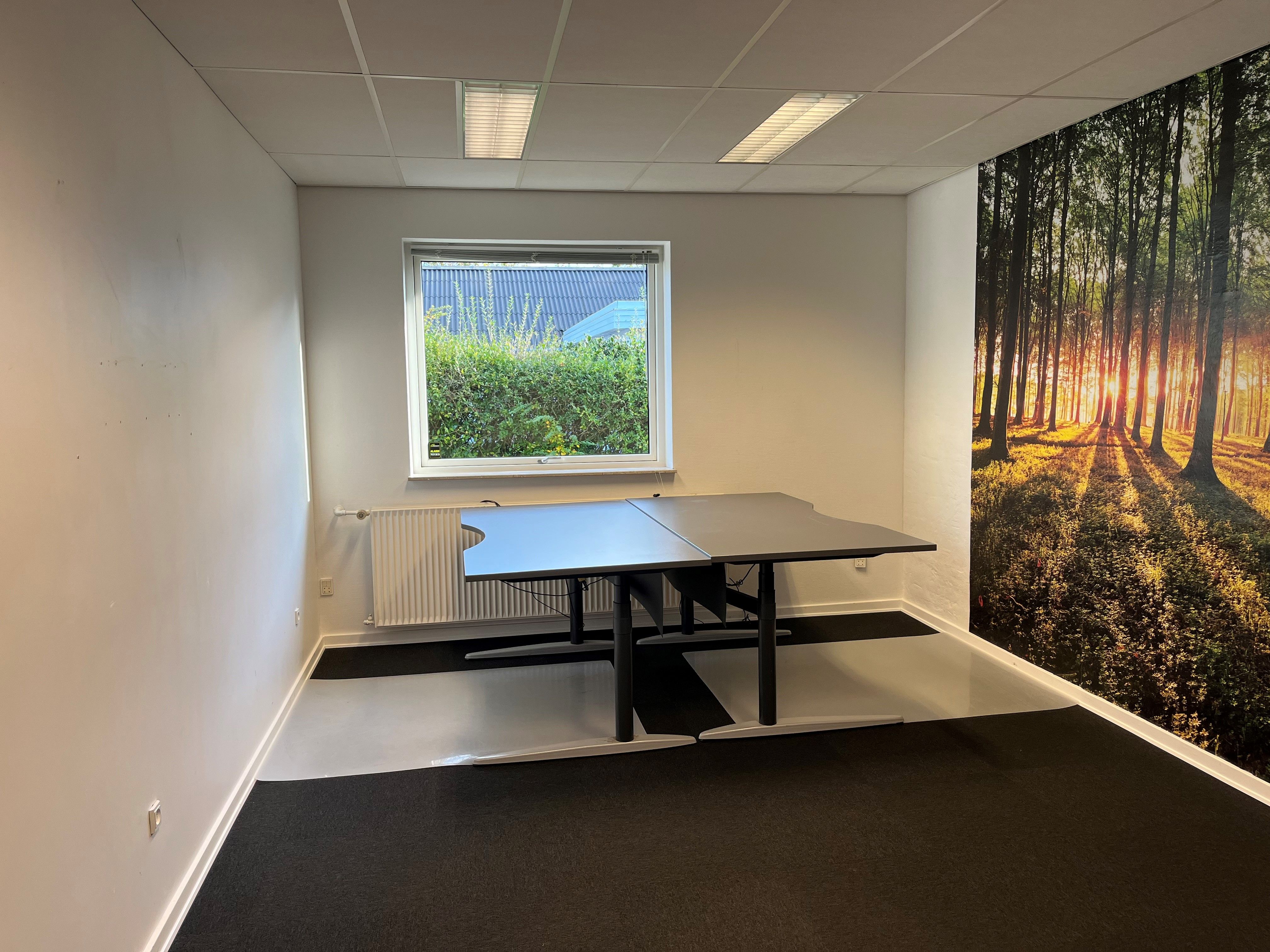 Moderne kontor med to store skriveborde og et stærkt visuelt motiv af skov på væggen. En radiator og en vinduesvisning med