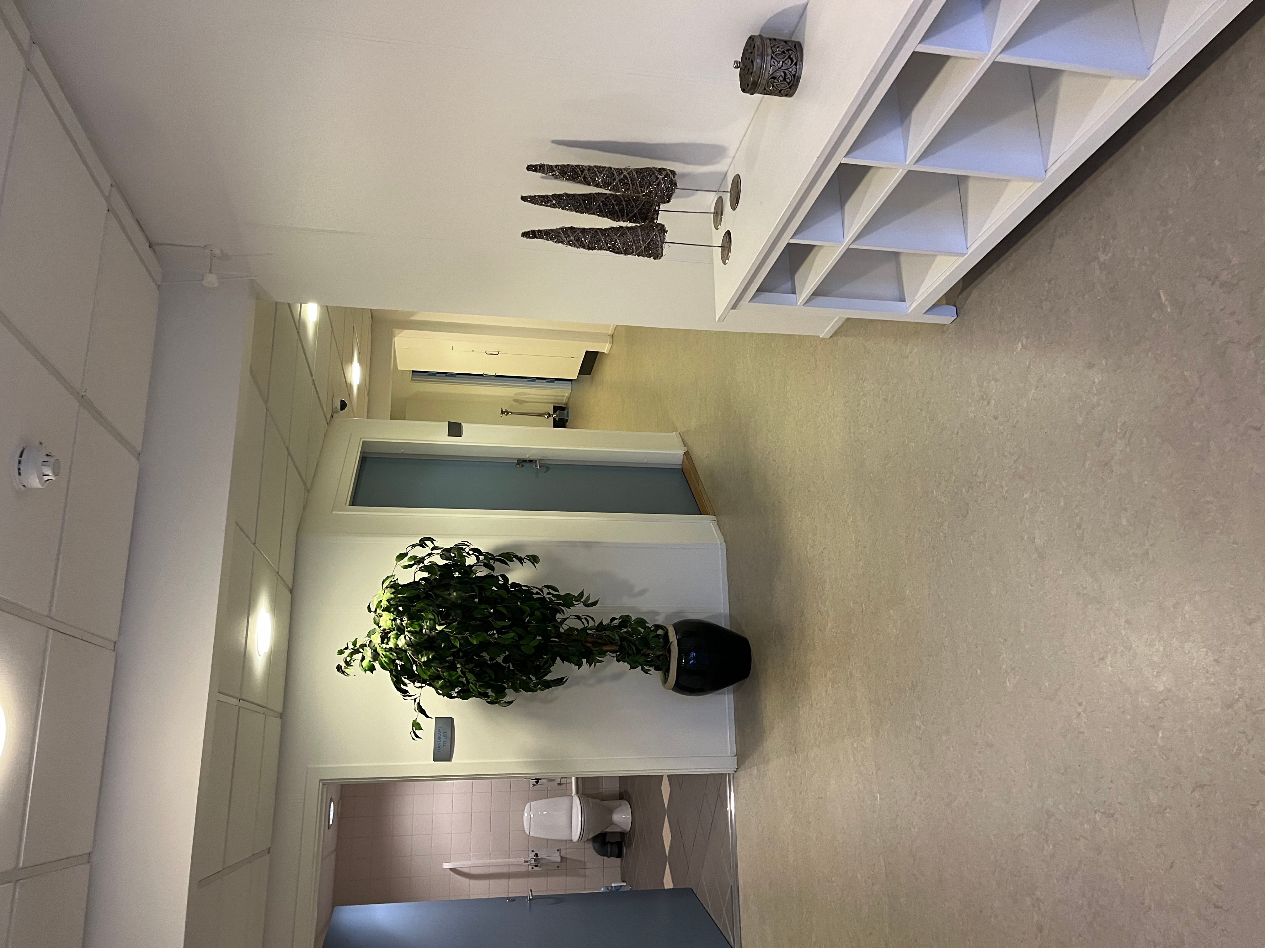 Hallen med hvide vægge og loft, gulv med mønstre og en stor plante i en sort vase.