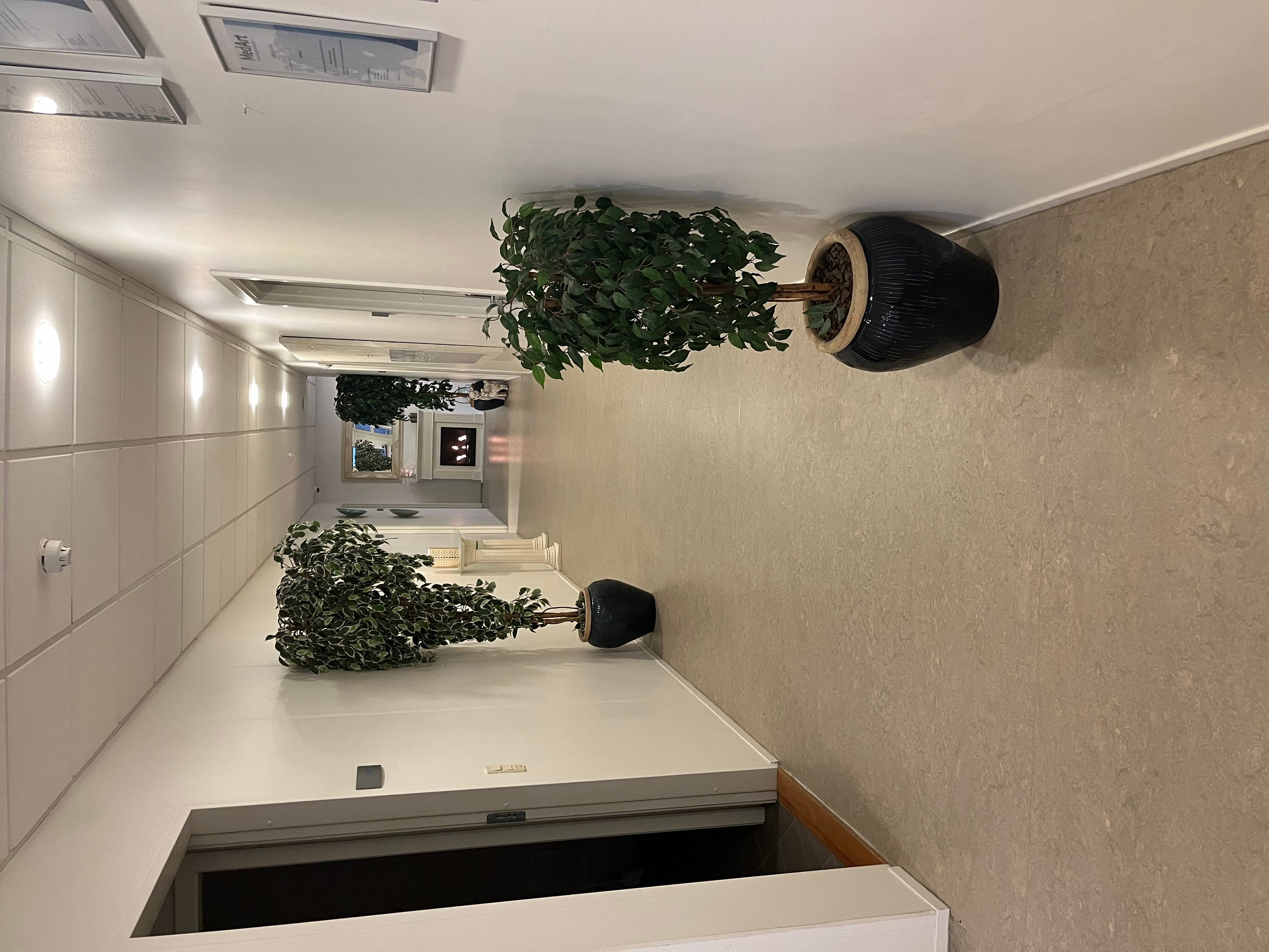 Hallen med hvide vægge og gulve med to store kunstige planter og lysekroner på loftet