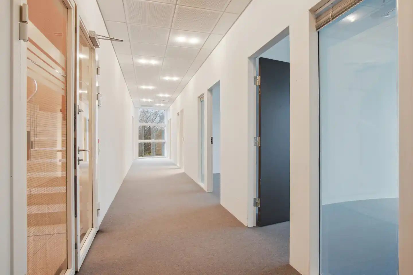 En lang, tom gang med hvide vægge og højloftede værelser med glassdøre og vinduer til gårdspladsen