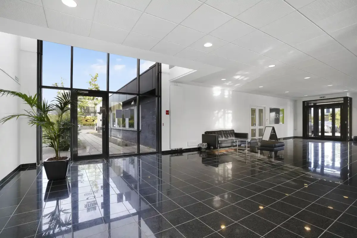 Indvendigt foyer med glasdøre, en sofa, en plante, og en stribede gulvfliser.