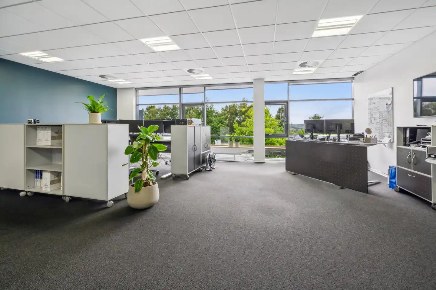 Ledige kontorlokaler med plante, skrivebord og moderne udstyr samt udsigt til grønne træer og bygninger