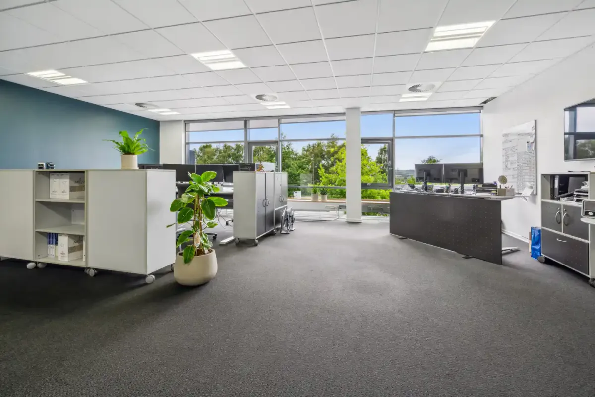 Ledige kontorlokaler med plante, skrivebord og moderne udstyr samt udsigt til grønne træer og bygninger