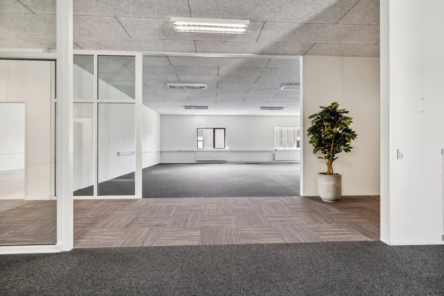 En stor, rummelig kontorhal med hvide vægge og glasdøre, en plante i en potte og moderne belysning.