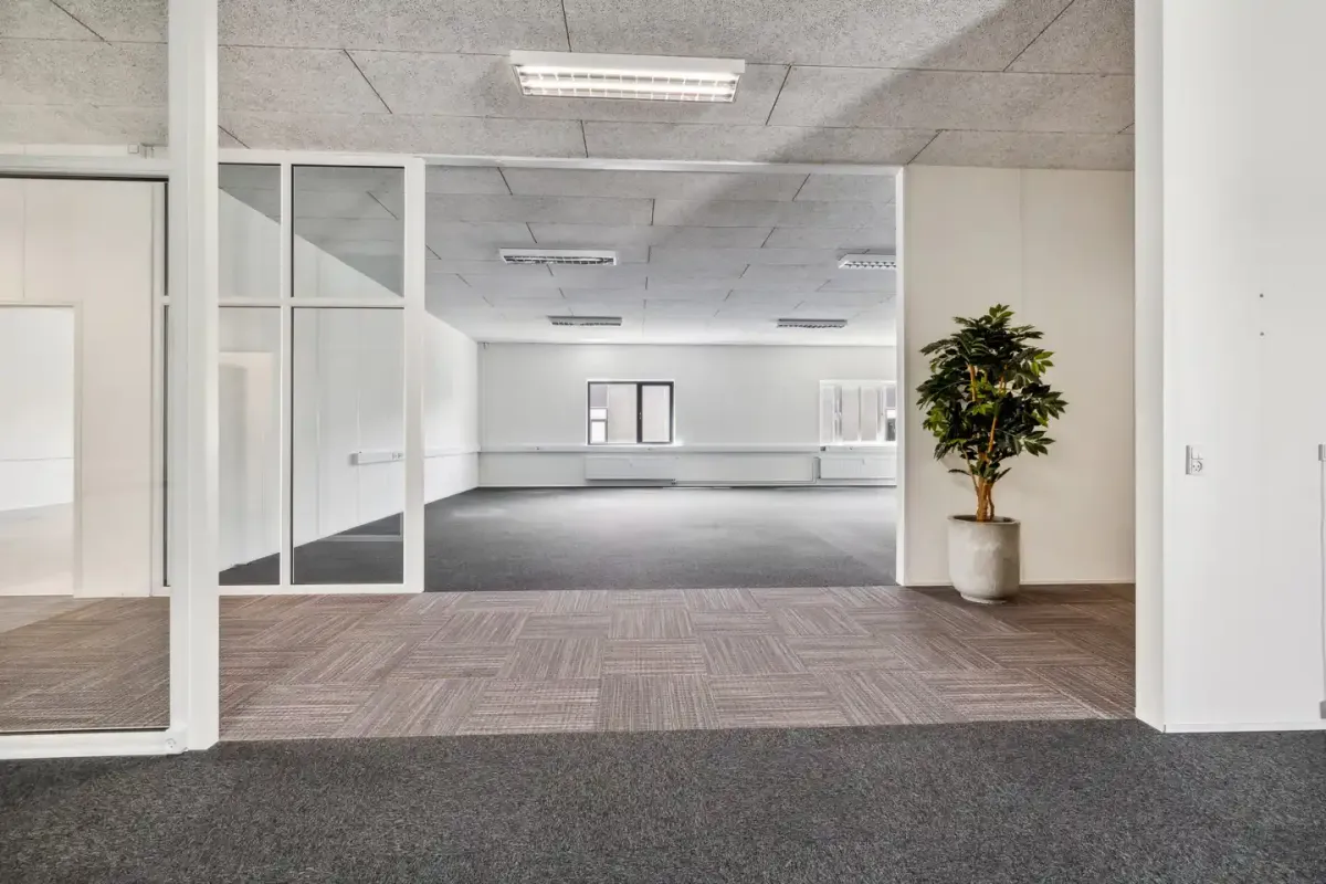 En stor, rummelig kontorhal med hvide vægge og glasdøre, en plante i en potte og moderne belysning.